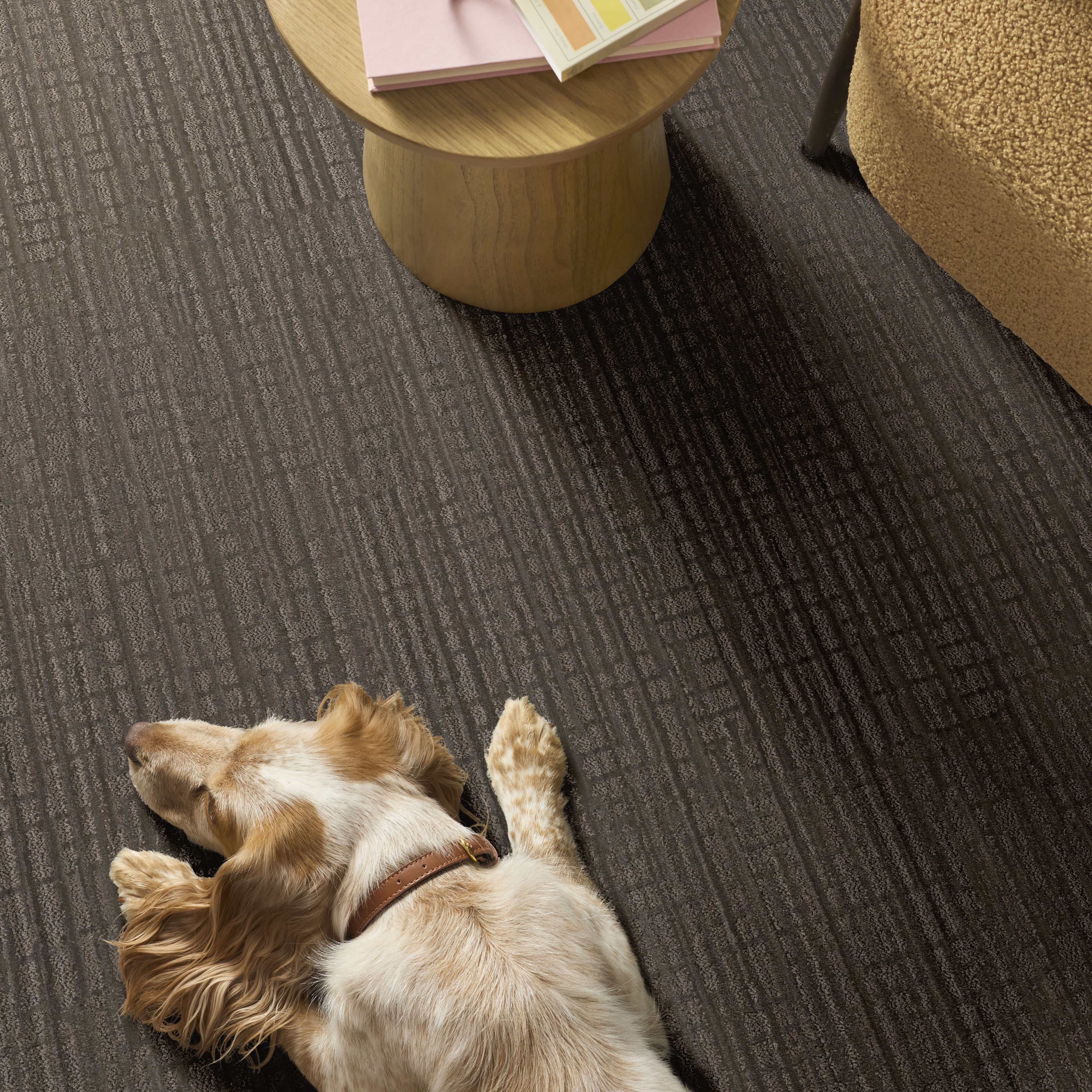 Skyline Shift - Tree Bark Carpet | Shaw Floors